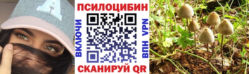 Галлюциногенные грибы GOLDEN TEACHER купить наркотики цена Изобильный