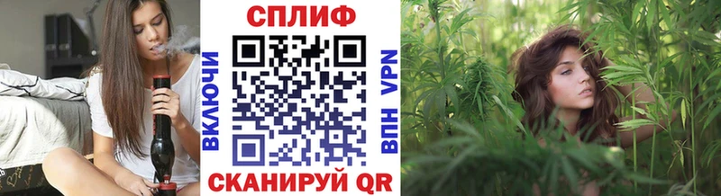 Шишки марихуана SATIVA & INDICA  что такое   Изобильный 